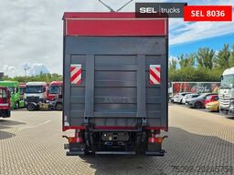 MAN TGX 26.360 6X2-2 LL / Intarder / Ldbw /Lenkachse