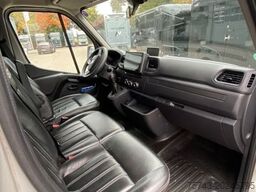 RENAULT Master STX Haras 3 sitzer