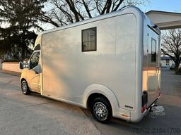 Renault Master STX Haras 1-2 Pferde Automatik