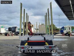 LKW Pavic ZHTA 18 Holz Wood
