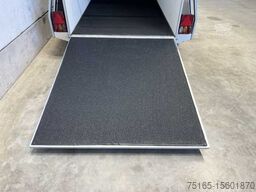 Böckmann Uno Esprit silv+bl SK ALB Pferdeanhänger