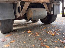 Schmitz Cargobull SKO 24, Carrier Vector, SAF Disc 260 Hoch,Moto...