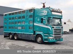 SCANIA R 490 Topline Menke 4 Stock Hubdach | Retader