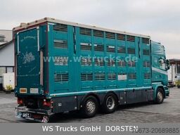 SCANIA R 490 Topline Menke 4 Stock Hubdach | Retader