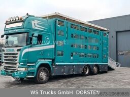 SCANIA R 490 Topline Menke 4 Stock Hubdach | Retader