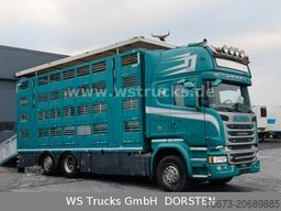 SCANIA R 490 Topline Menke 4 Stock Hubdach | Retader