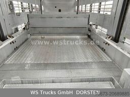 SCANIA R 490 Topline Menke 4 Stock Hubdach | Retader