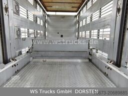 SCANIA R 490 Topline Menke 4 Stock Hubdach | Retader