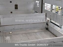 SCANIA R 490 Topline Menke 4 Stock Hubdach | Retader