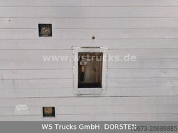 SCANIA R 490 Topline Menke 4 Stock Hubdach | Retader