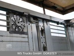 SCANIA R 490 Topline Menke 4 Stock Hubdach | Retader