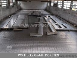 SCANIA R 490 Topline Menke 4 Stock Hubdach | Retader