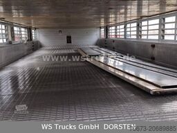 SCANIA R 490 Topline Menke 4 Stock Hubdach | Retader