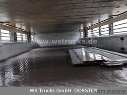 SCANIA R 490 Topline Menke 4 Stock Hubdach | Retader