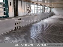 SCANIA R 490 Topline Menke 4 Stock Hubdach | Retader