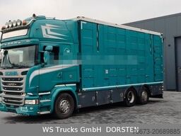 SCANIA R 490 Topline Menke 4 Stock Hubdach | Retader