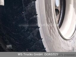 SCANIA R 490 Topline Menke 4 Stock Hubdach | Retader