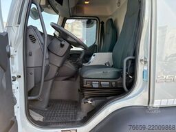 VOLVO FL 250  + gru Palfinger