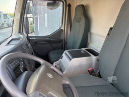VOLVO FL 250  + gru Palfinger