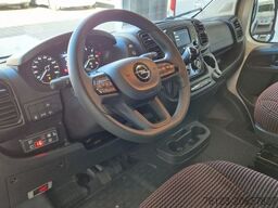 FIAT 1x Ducato 1x Opel Movano 18 SS in Stock