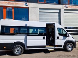 FIAT 1x Ducato 1x Opel Movano 18 SS in Stock