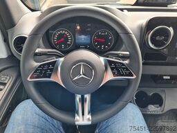 Mercedes-Benz Sprinter 319 Kasten Pro ExtraLang L4H2 KAMERA