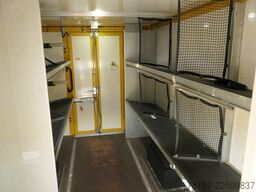 iveco Daily 35 S11 C30C KURZ AUTOMATIK KAMERA Regale LUFT DURCHGANG EURO-5 CoC