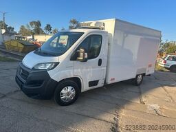 FIAT Ducato Schaden*Thermoking V300Max*Tiefkühl*Rampe