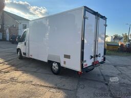 FIAT Ducato Schaden*Thermoking V300Max*Tiefkühl*Rampe
