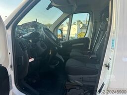 FIAT Ducato Schaden*Thermoking V300Max*Tiefkühl*Rampe
