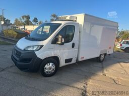 FIAT Ducato Schaden*Thermoking V300Max*Tiefkühl*Rampe