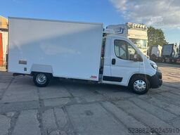 FIAT Ducato Schaden*Thermoking V300Max*Tiefkühl*Rampe