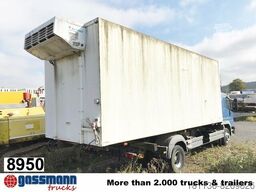 Brandl Kühlkoffer, Thermo-King