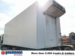 Brandl Kühlkoffer, Thermo-King