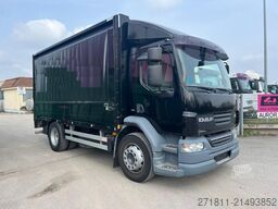 DAF DAF LF CENTINATO USATO