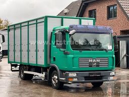 MAN TGL 8.180 4x2 Köstner 1.Stock Viehaufbau