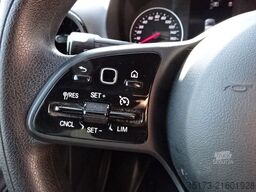 MERCEDES-BENZ Sprinter III Kasten 319 CDI RWD