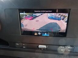 MERCEDES-BENZ Sprinter III Kasten 319 CDI RWD