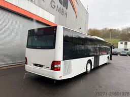 MAN A20 Euro 6, Klima | 2 Fahrzeuge