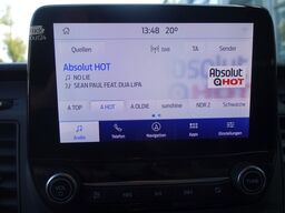ford Transit FT350 L2H2 SORTIMO-REGALE/WERKSTATT/STDHZG