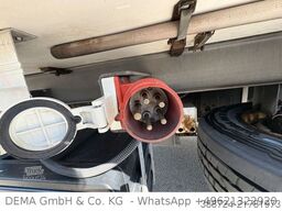  SCHUH ASZ*Tandem*Thermoking*LBW*2 Verdampfer*