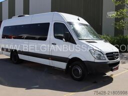 Mercedes-Benz Sprinter 516 CDi / Travel / Transfer 45/Retarder