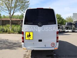 Mercedes-Benz Sprinter 516 CDi / Travel / Transfer 45/Retarder