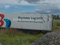 SCHMITZ CARGOBULL 8 Stück / Frigo / Multi Bi Temp / DS