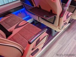 MERCEDES-BENZ 519 und 517 Glasdach XXL 20 Sitze Stock