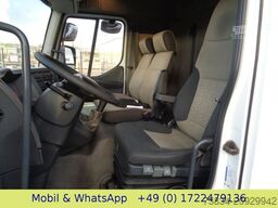 RENAULT MIDLUM  220 DXI