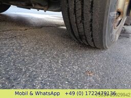 RENAULT MIDLUM  220 DXI