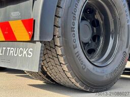 RENAULT T480 Evolution, LIVING- Paket, Kipphydr.,MIETEN?