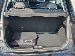 FIAT 500e - schwarz, klein, stark