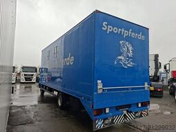 MERCEDES-BENZ 817 L 4 Pferde Laderampe 3-Sitzer AHK